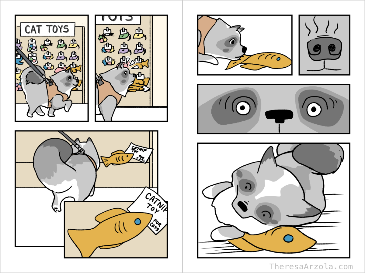Page 3 - Titan stops in front of the cat toys and sees a catnip stuffed fish toy. Page 4 - Titan smells the catnip in the toy and starts rubbing himself on it.
