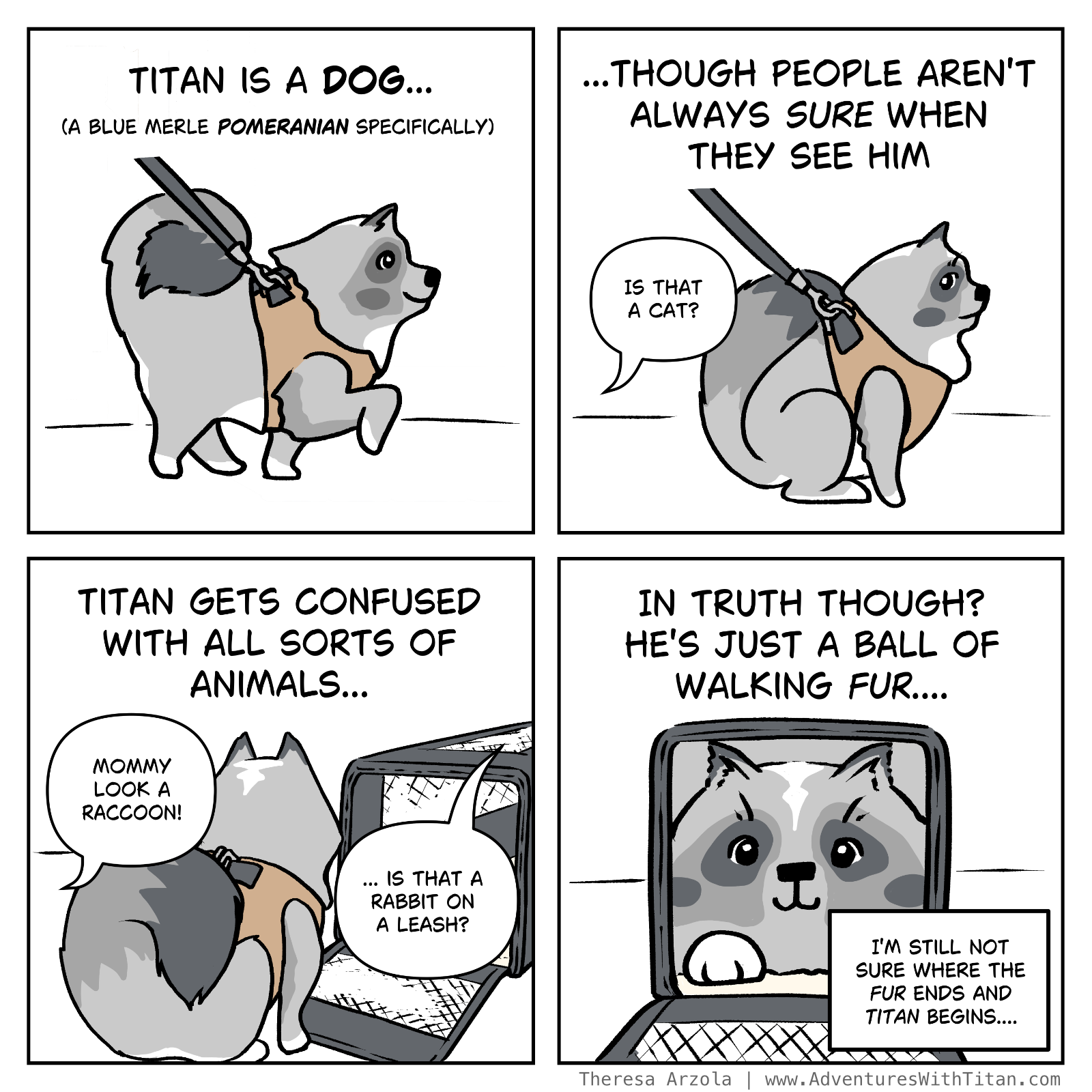 4-panel comic - Titan is often mistaken for other creatures including a cat, a rabbit and a raccoon. In truth though, he's just a ball of walking fur.