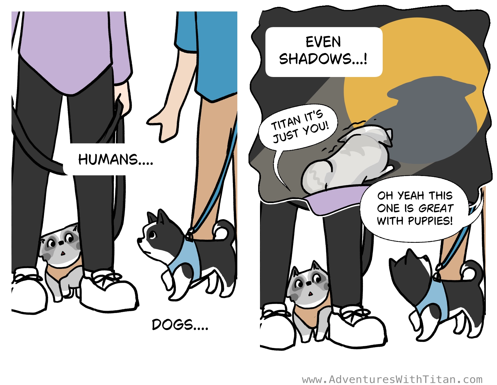 Left page: Titan hides behind Theresa's legs while another human and his Boston Terrier approach. The Boston Terrier looks at Titan curiously. "humans... dogs...." Right page: "even shadows!" Titan cowers at his shadow in a flashlight. Theresa says "Titan it's just you!" Back to Titan hiding behind his human's legs, the owner of the Boston Terrier says "Oh yeah, this one is great with puppies!"