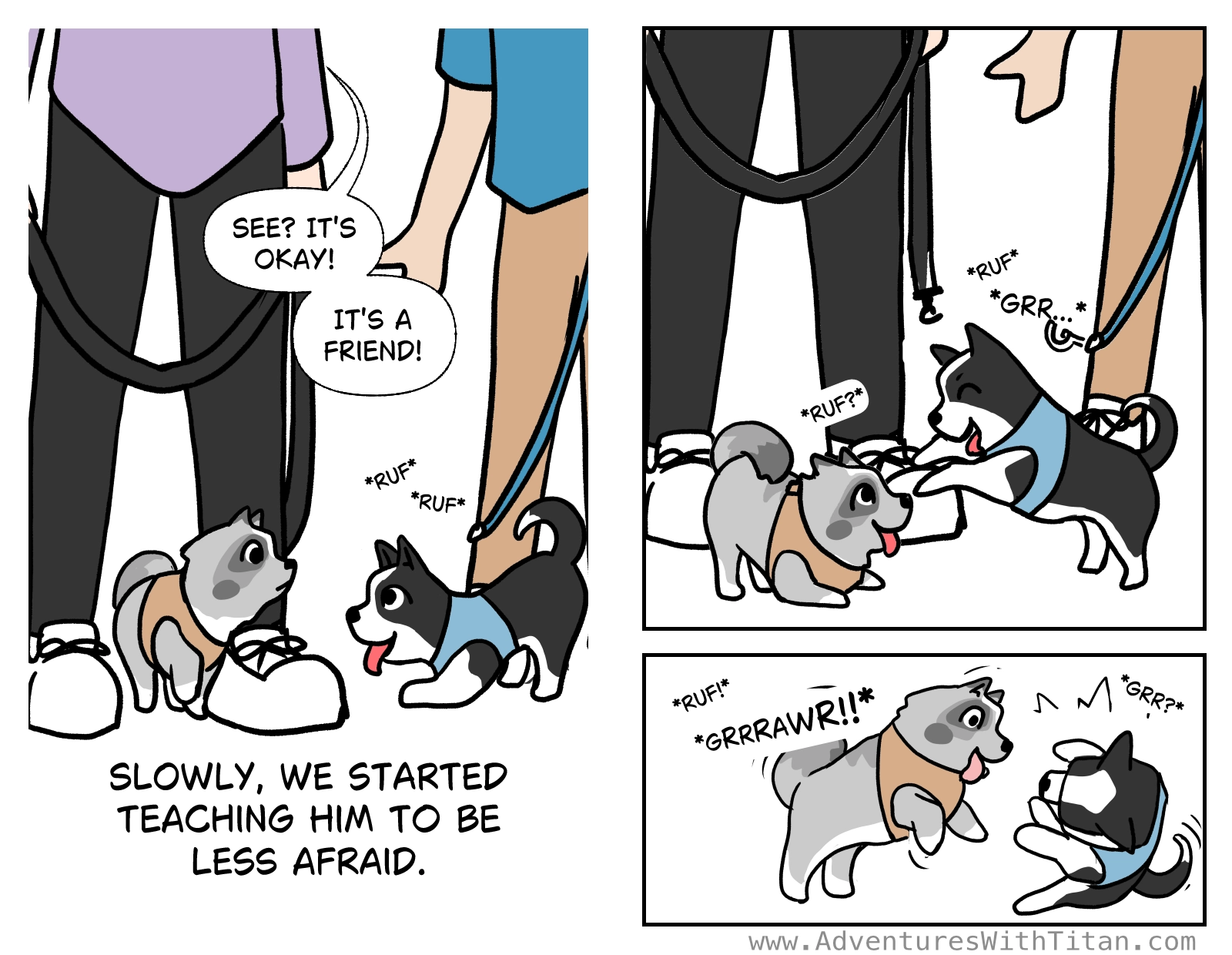 Left page: Titan steps out timidly from Theresa's legs and the Boston Terrier bows in play, saying "ruf ruf". Theresa says, "See? It's okay. it's a friend!" "slowly we started teaching him to be less afraid." Right page: Titan doe a play bow and they start playing. But then Titan gets a little enthusiast and with a "grawrr" launches at the Boston Terrier.